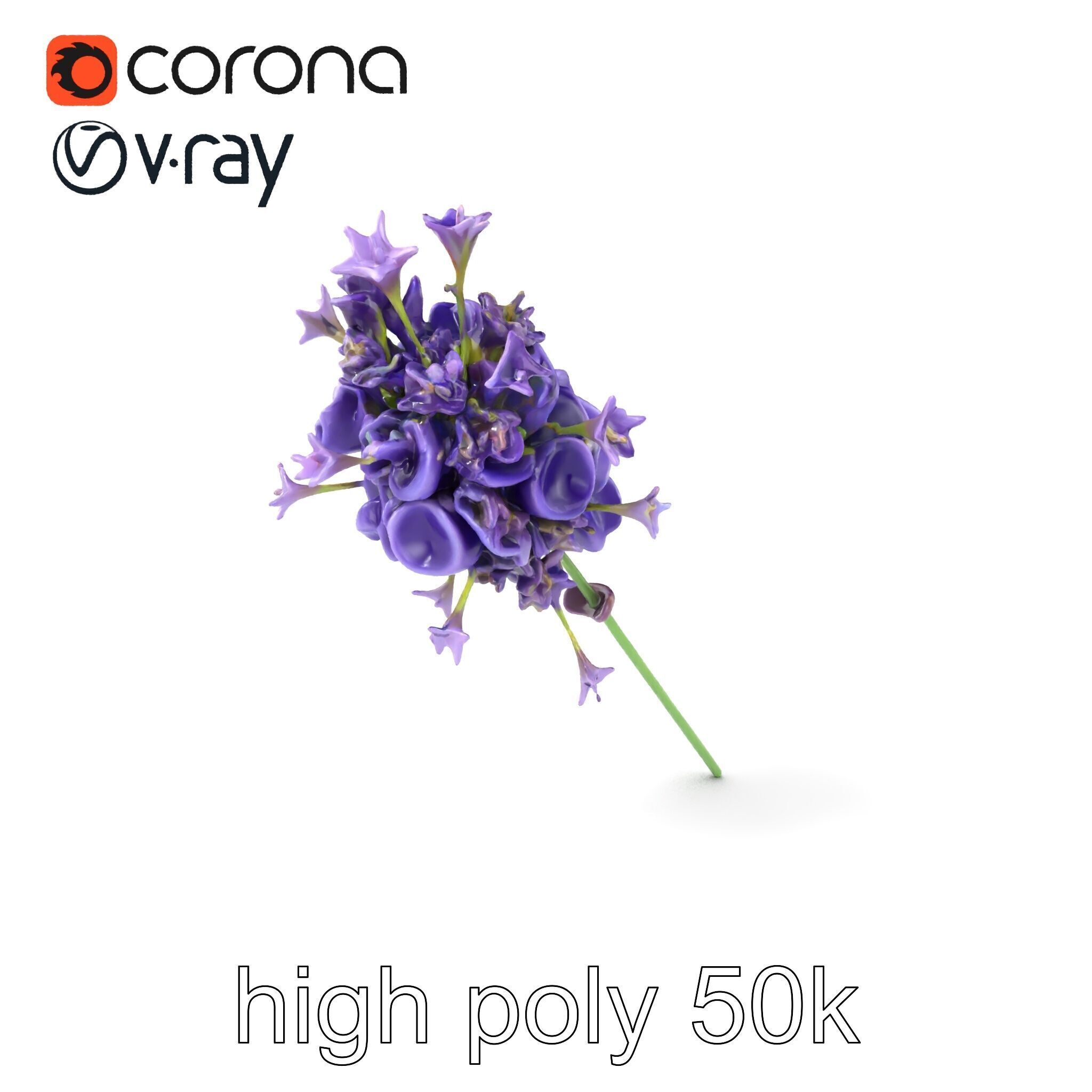 Lavandula Double Layered Petals 3D model pack Low-poly 3D model_2