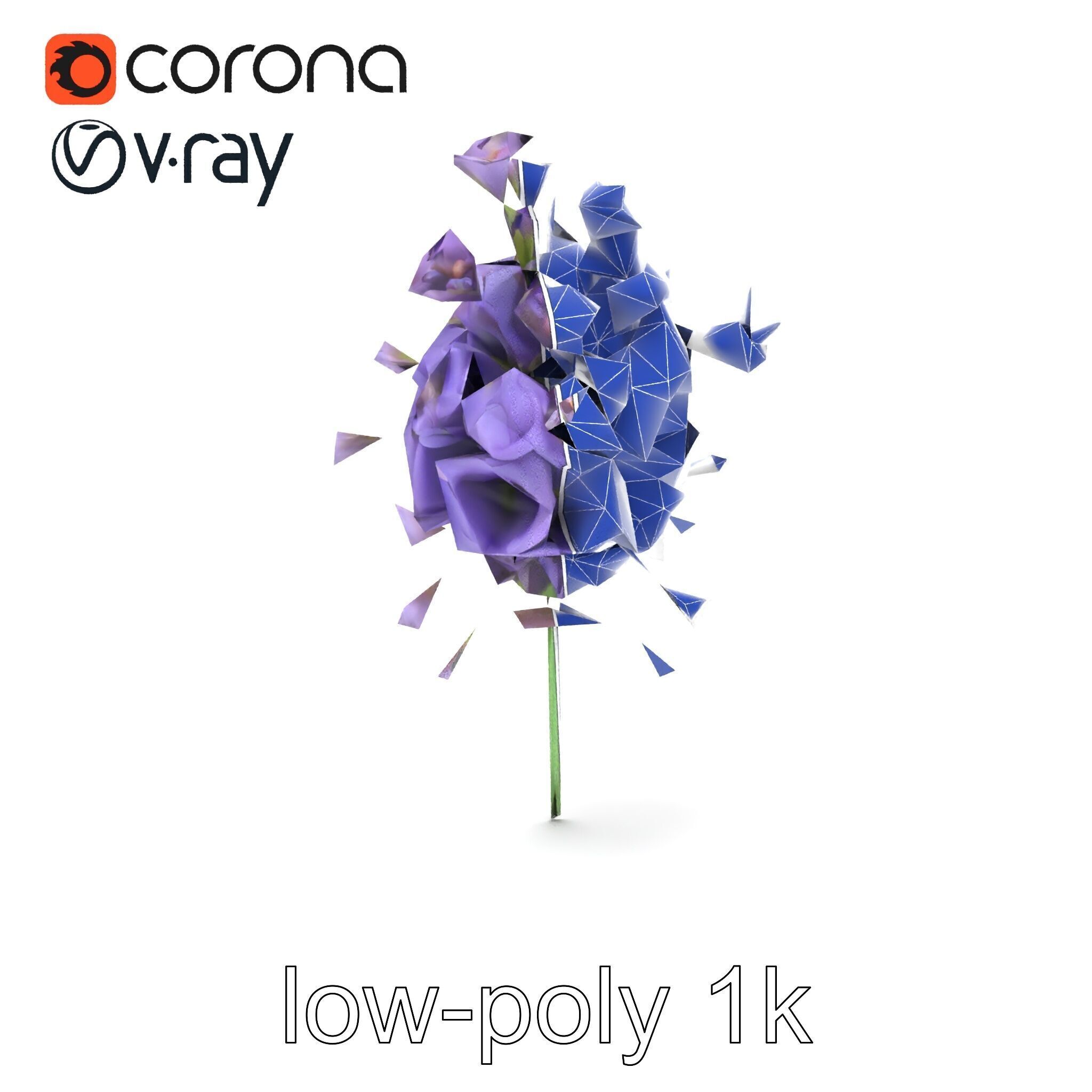 Lavandula Double Layered Petals 3D model pack Low-poly 3D model_13