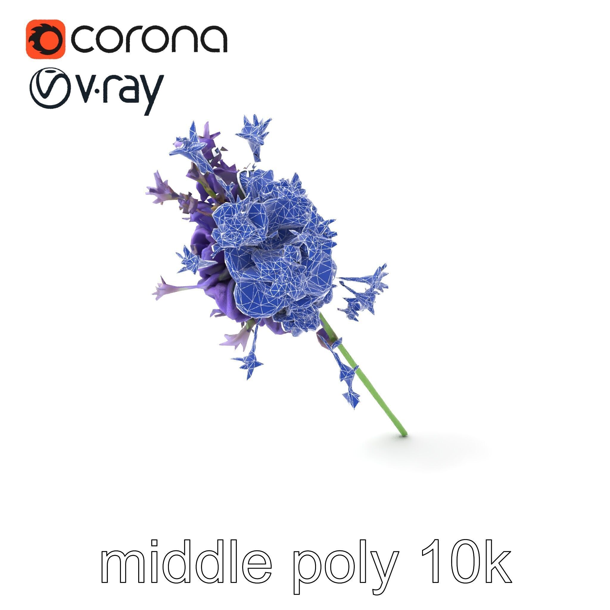 Lavandula Double Layered Petals 3D model pack Low-poly 3D model_6