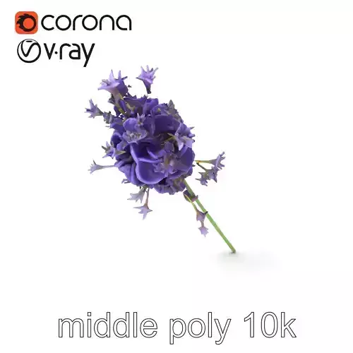 Lavandula Double Layered Petals 3D model pack Low-poly 3D model Lavandula Double Layered Petals 3D model pack Low-poly 3D model
