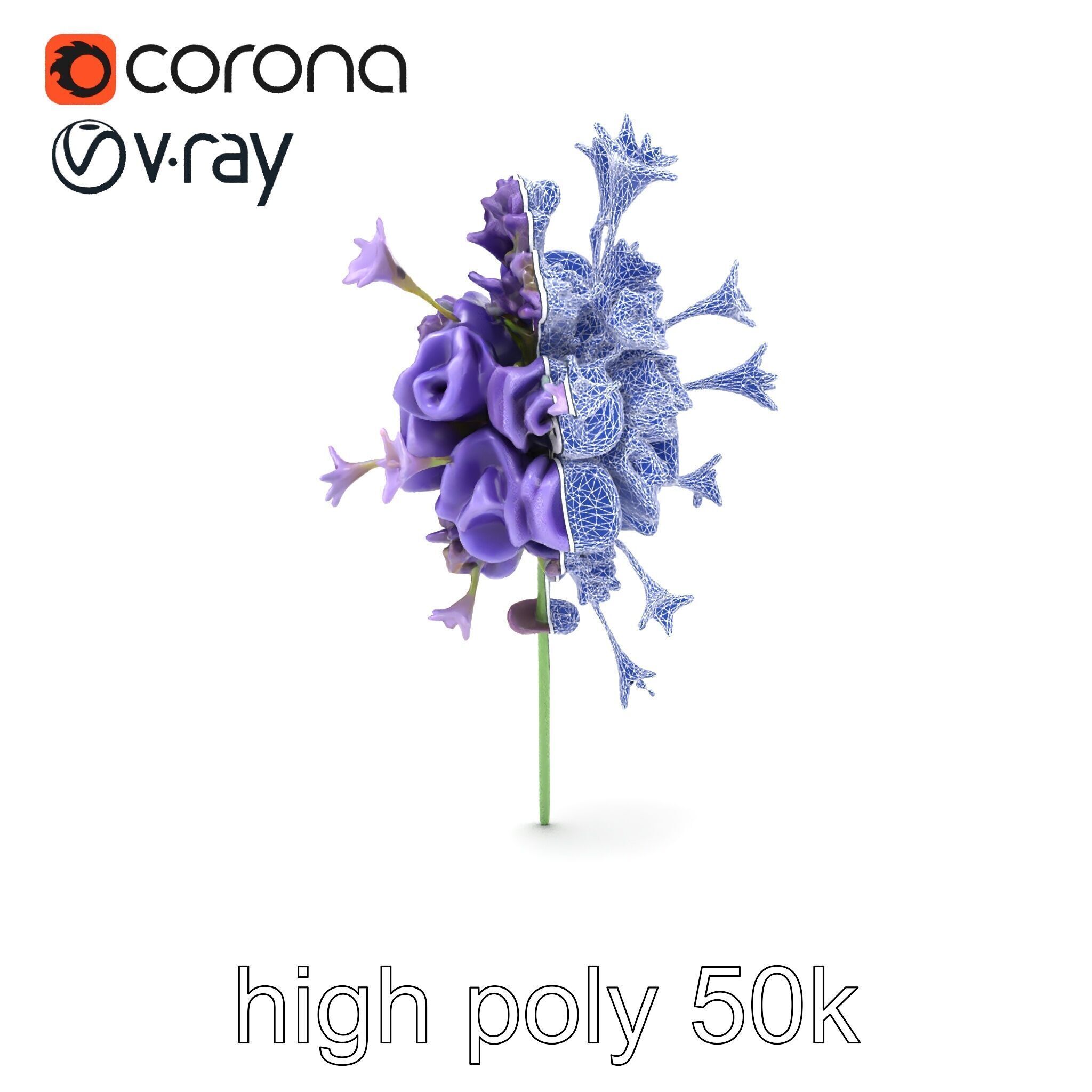 Lavandula Double Layered Petals 3D model pack Low-poly 3D model_17