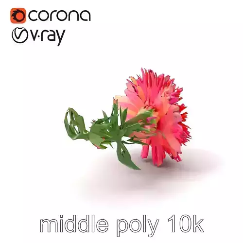 Aster Flower Spectrum Realistic 3D Model Pack Low-poly 3D model