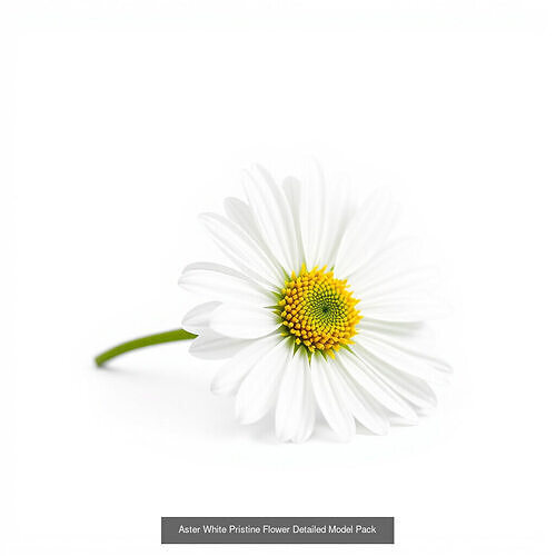 Aster 3D Model Collection 