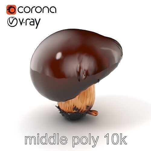 Forest Mushroom Realistic Model Pack Low-poly 3D model