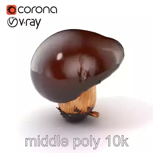 Forest Mushroom Realistic Model Pack Low-poly 3D model