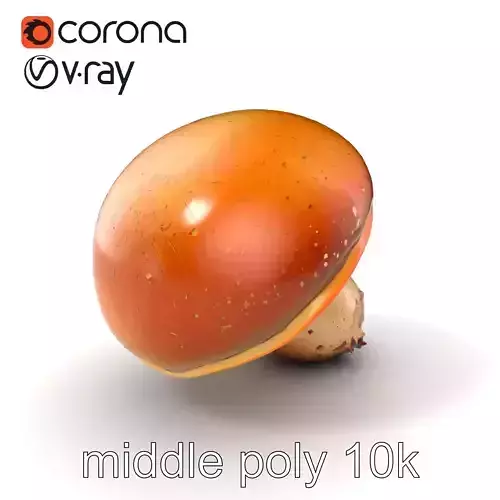 Realistic Mature Mushroom Model Pack Low-poly 3D model