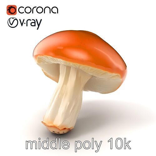 Realistic Shiny Mushroom Model Pack with Reflective Surface Low-poly 3D model