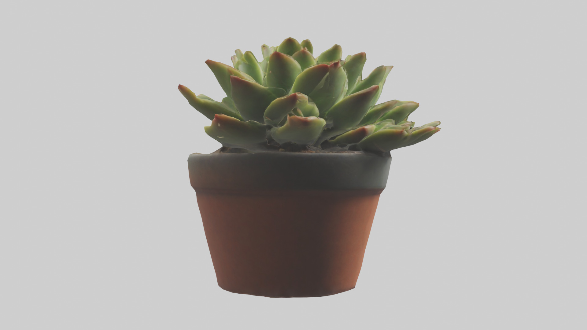 Potted Succulent model Low-poly 3D model_2