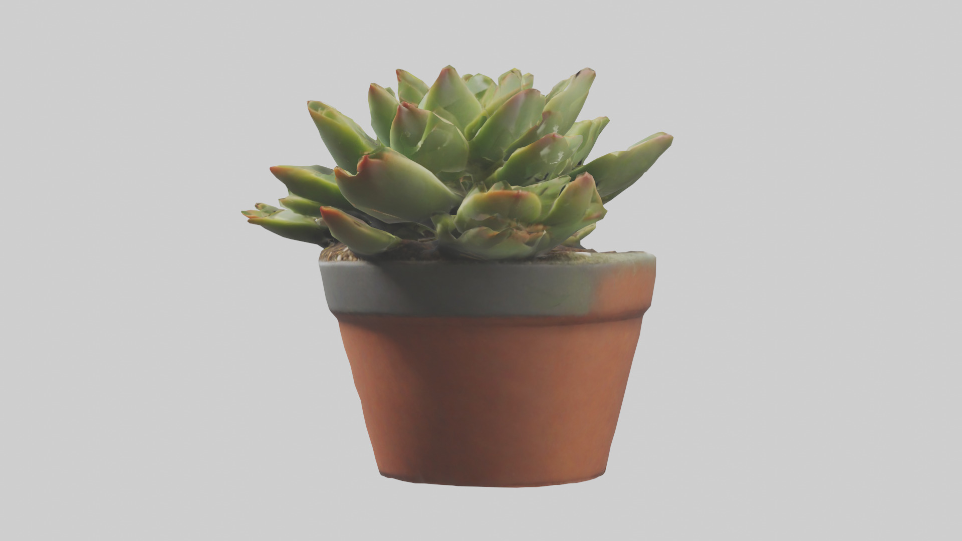 Potted Succulent model Low-poly 3D model_10