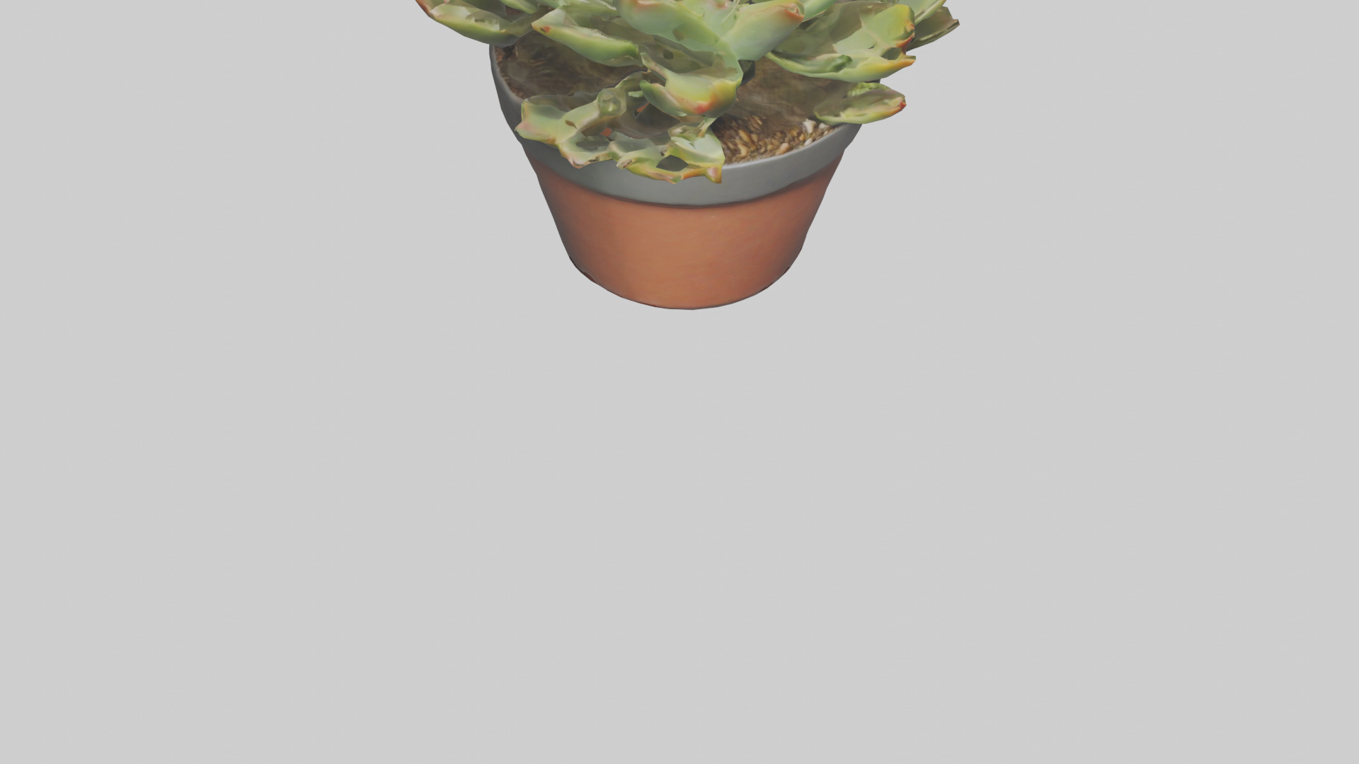 Potted Succulent model Low-poly 3D model_6