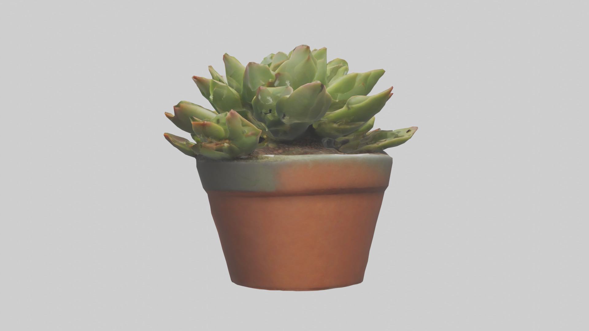 Potted Succulent model Low-poly 3D model_12