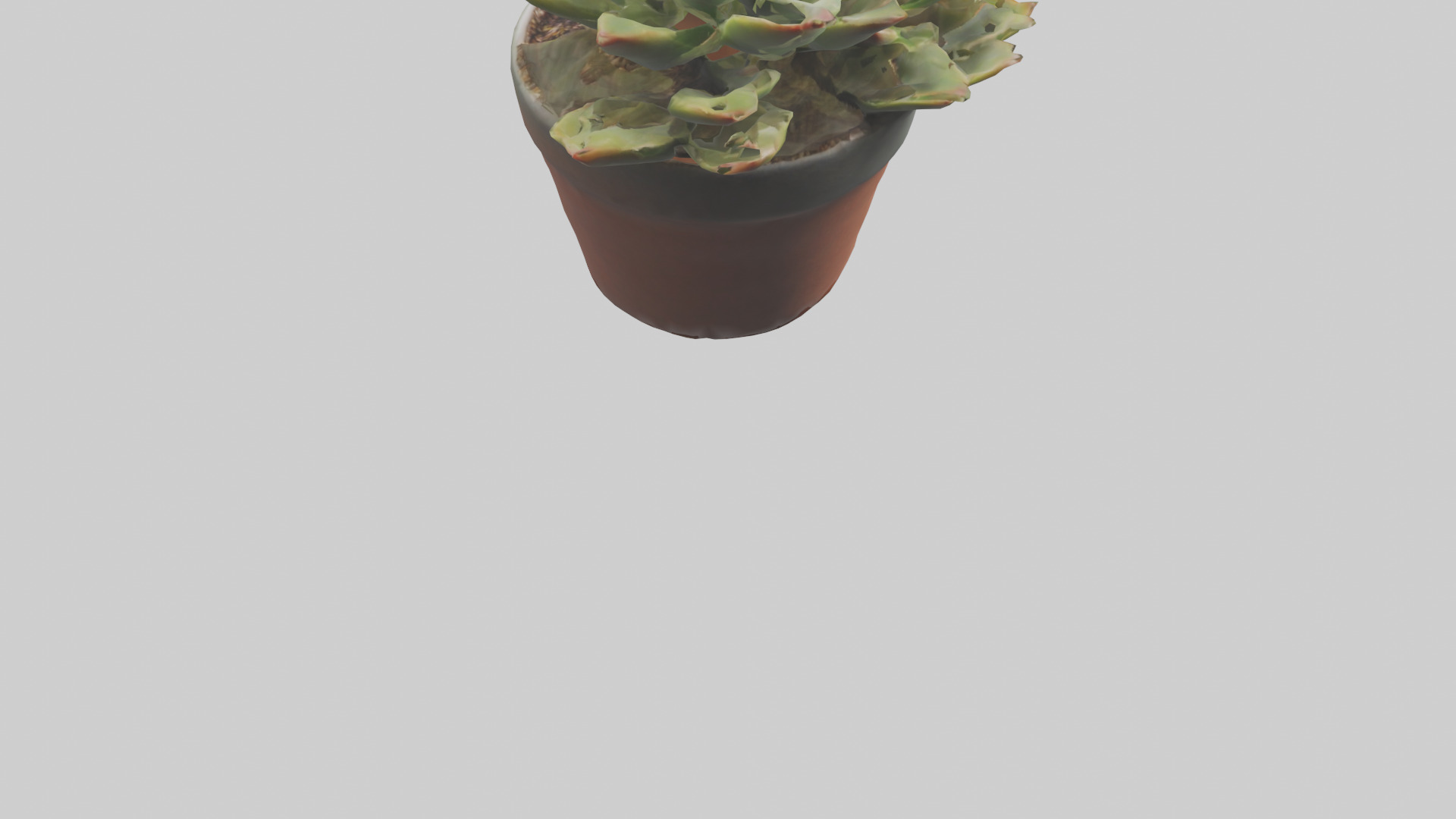 Potted Succulent model Low-poly 3D model_4