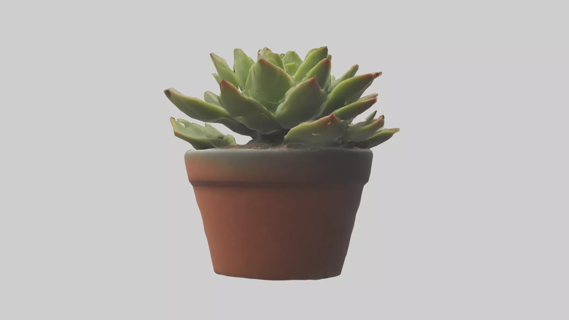 Potted Succulent model Low-poly 3D model_0