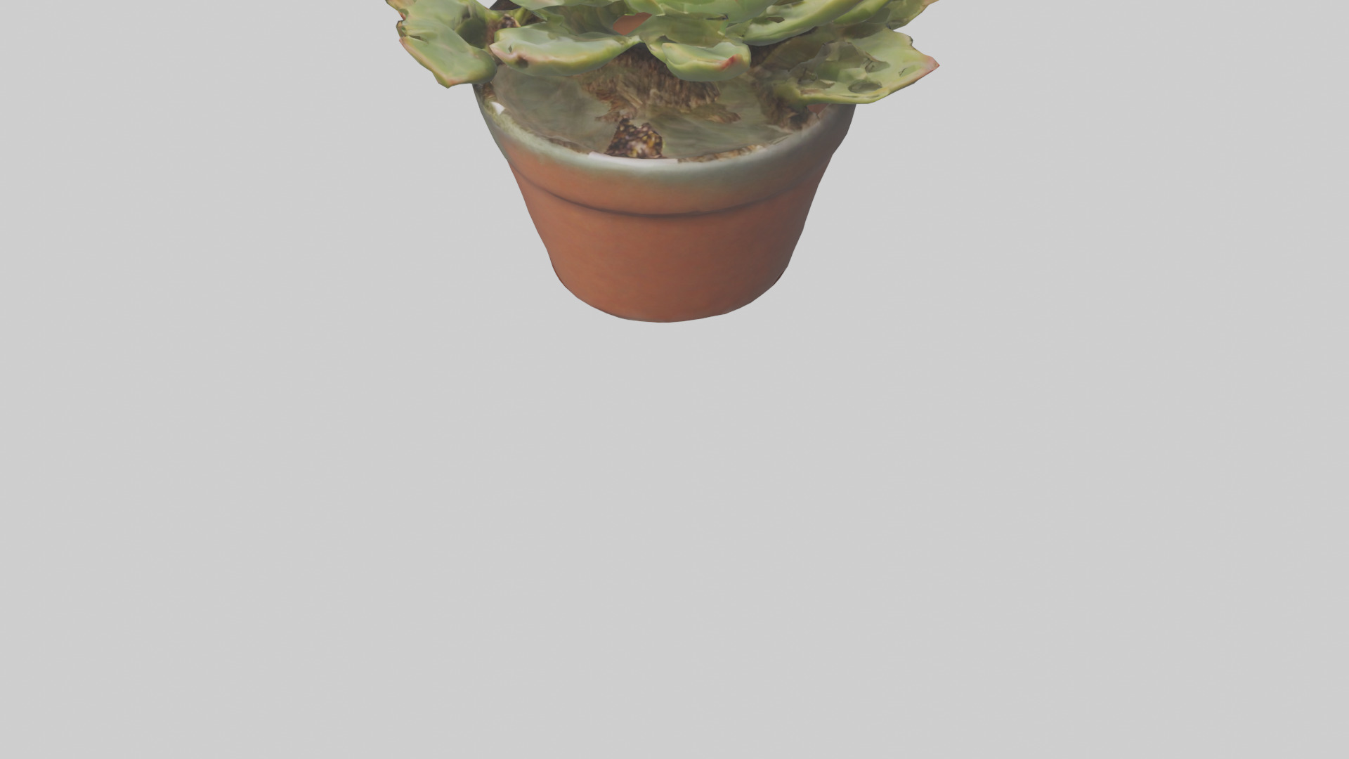Potted Succulent model Low-poly 3D model_3