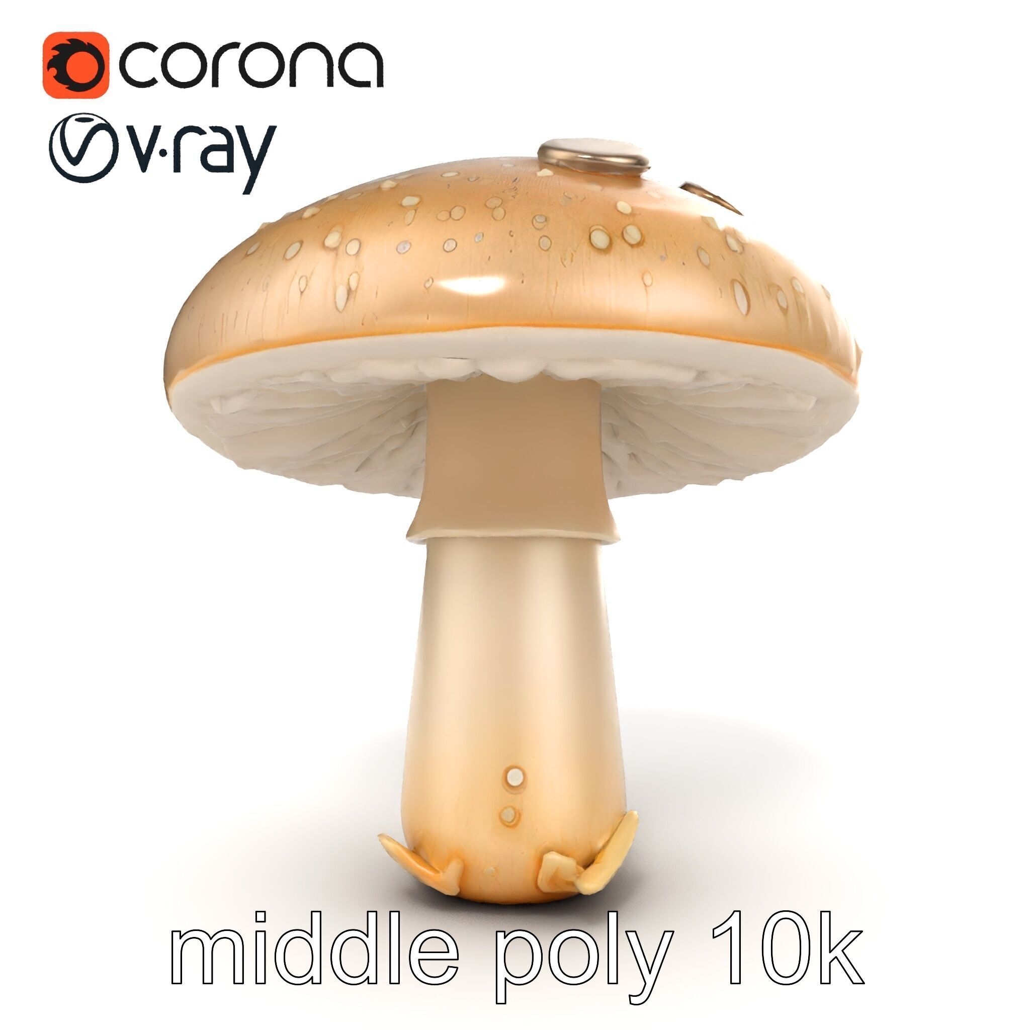 Dewy Mushroom Natural Curves Model Pack Low-poly 3D model_19