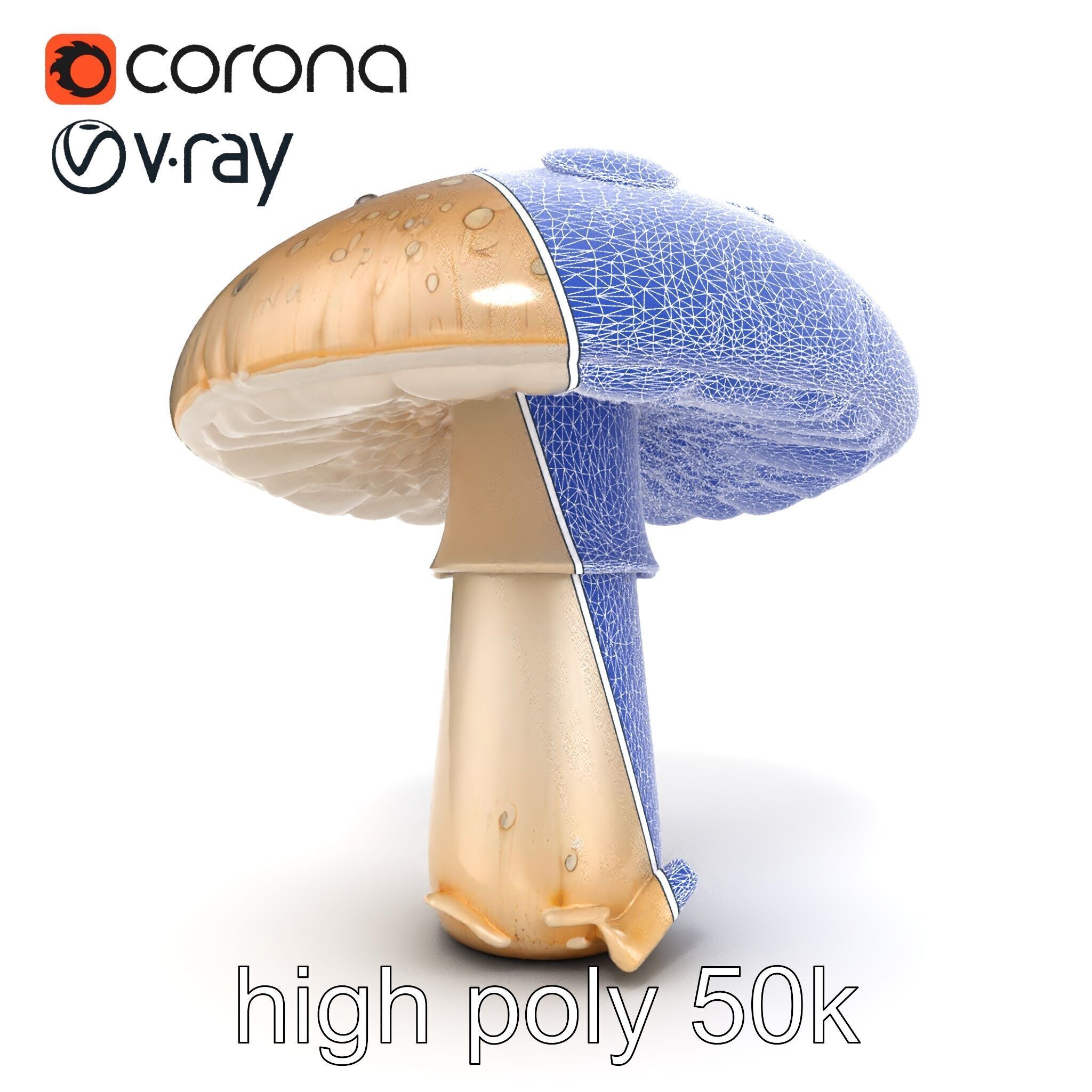 Dewy Mushroom Natural Curves Model Pack Low-poly 3D model_13