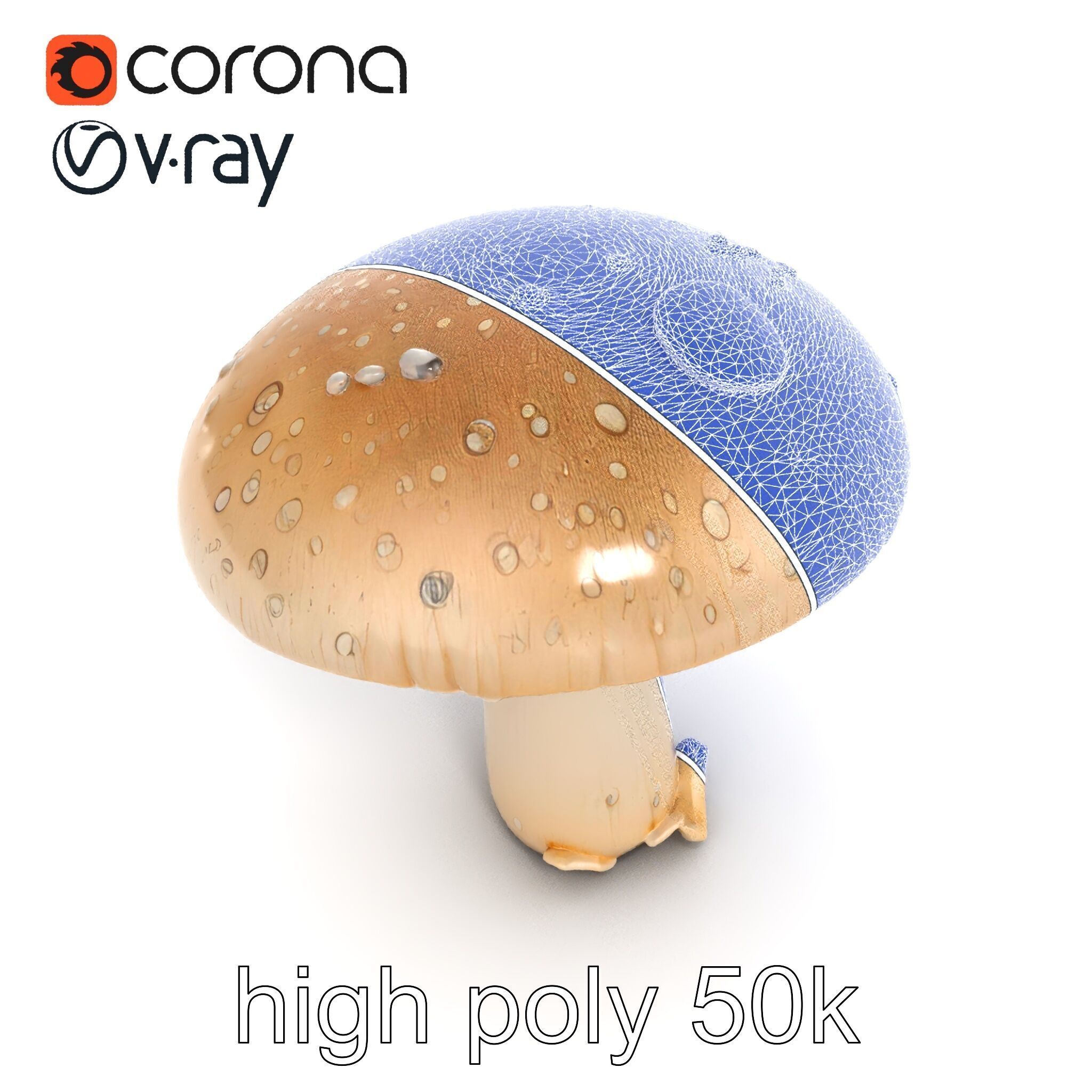 Dewy Mushroom Natural Curves Model Pack Low-poly 3D model_26