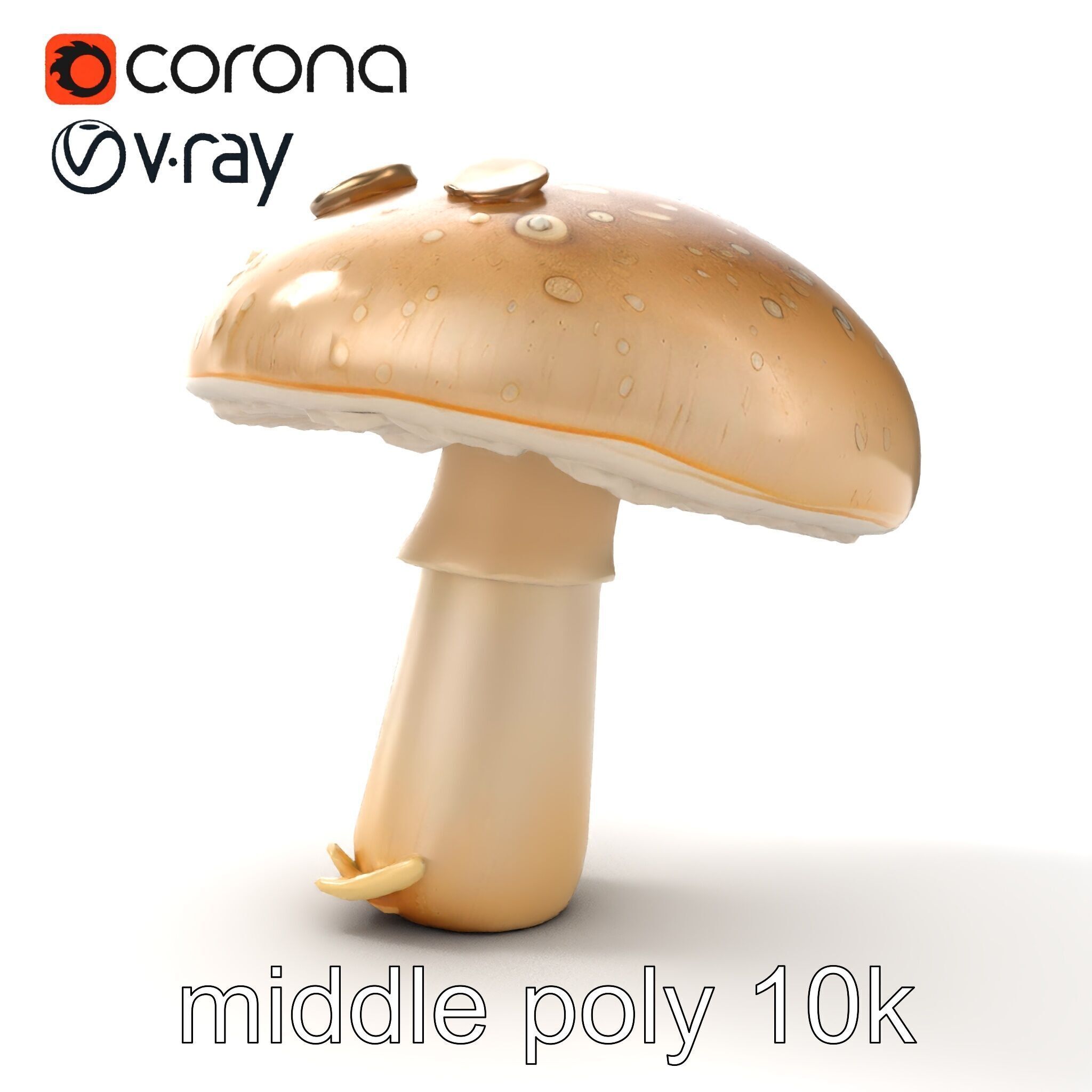 Dewy Mushroom Natural Curves Model Pack Low-poly 3D model_11