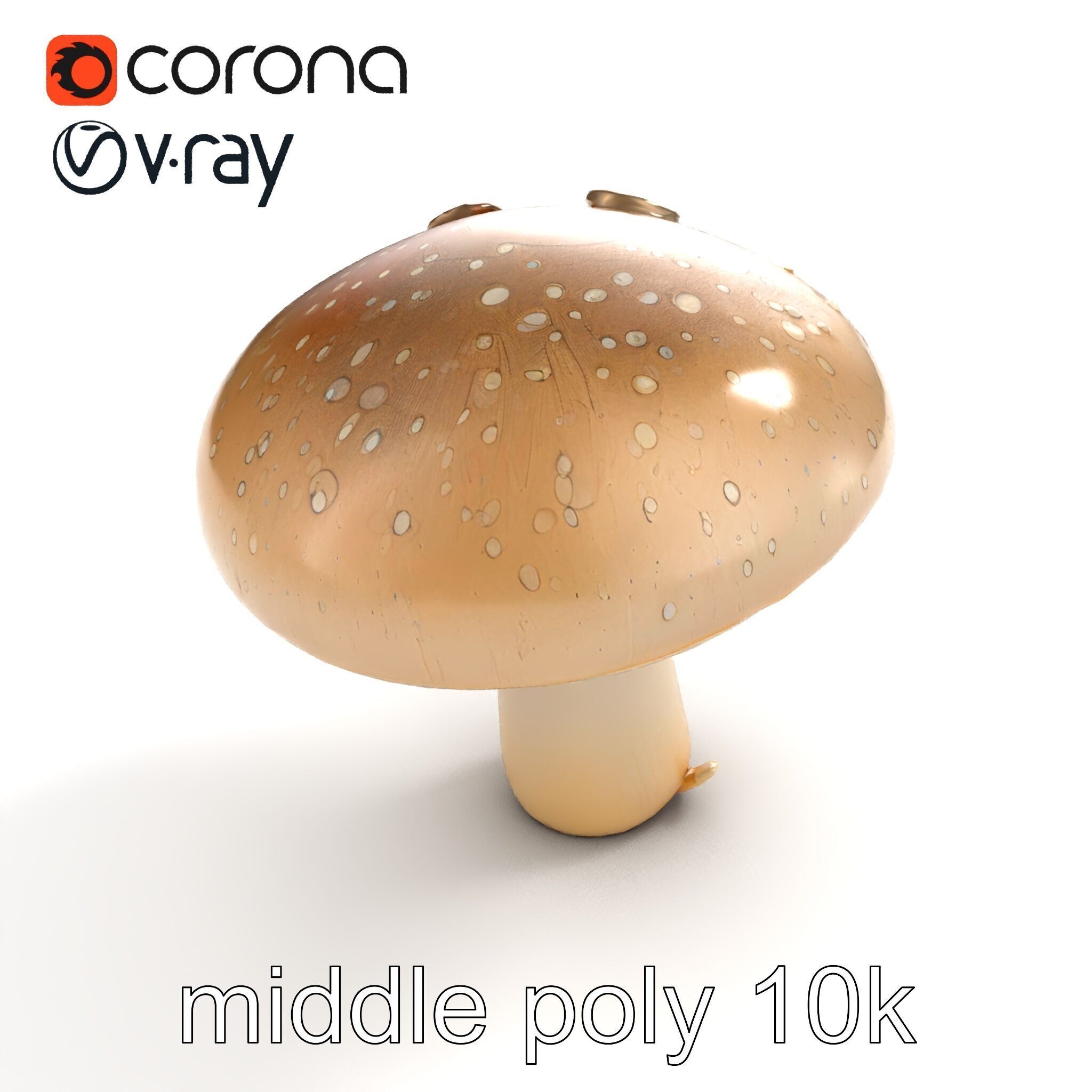 Dewy Mushroom Natural Curves Model Pack Low-poly 3D model_7