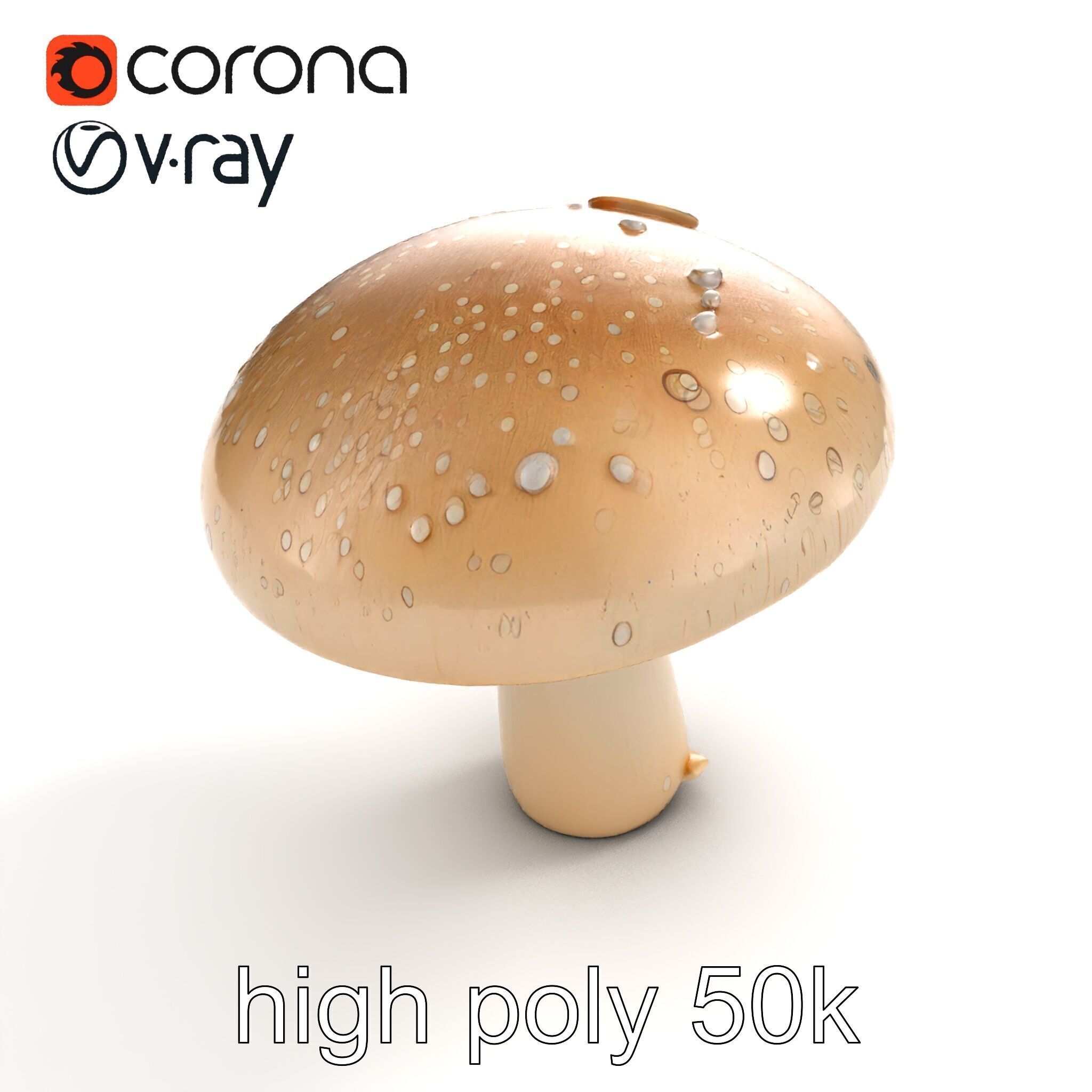 Dewy Mushroom Natural Curves Model Pack Low-poly 3D model_9