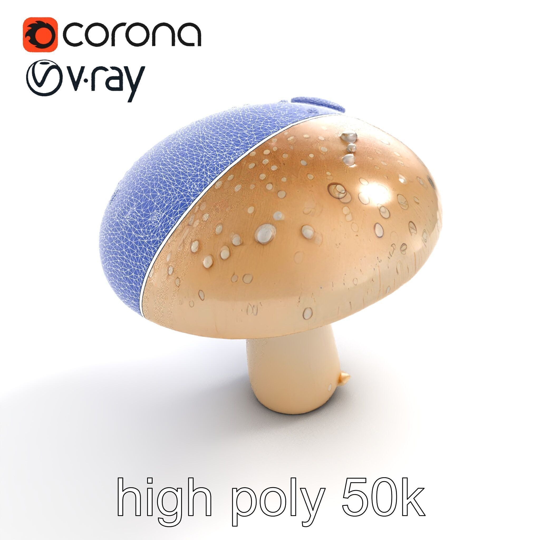 Dewy Mushroom Natural Curves Model Pack Low-poly 3D model_14