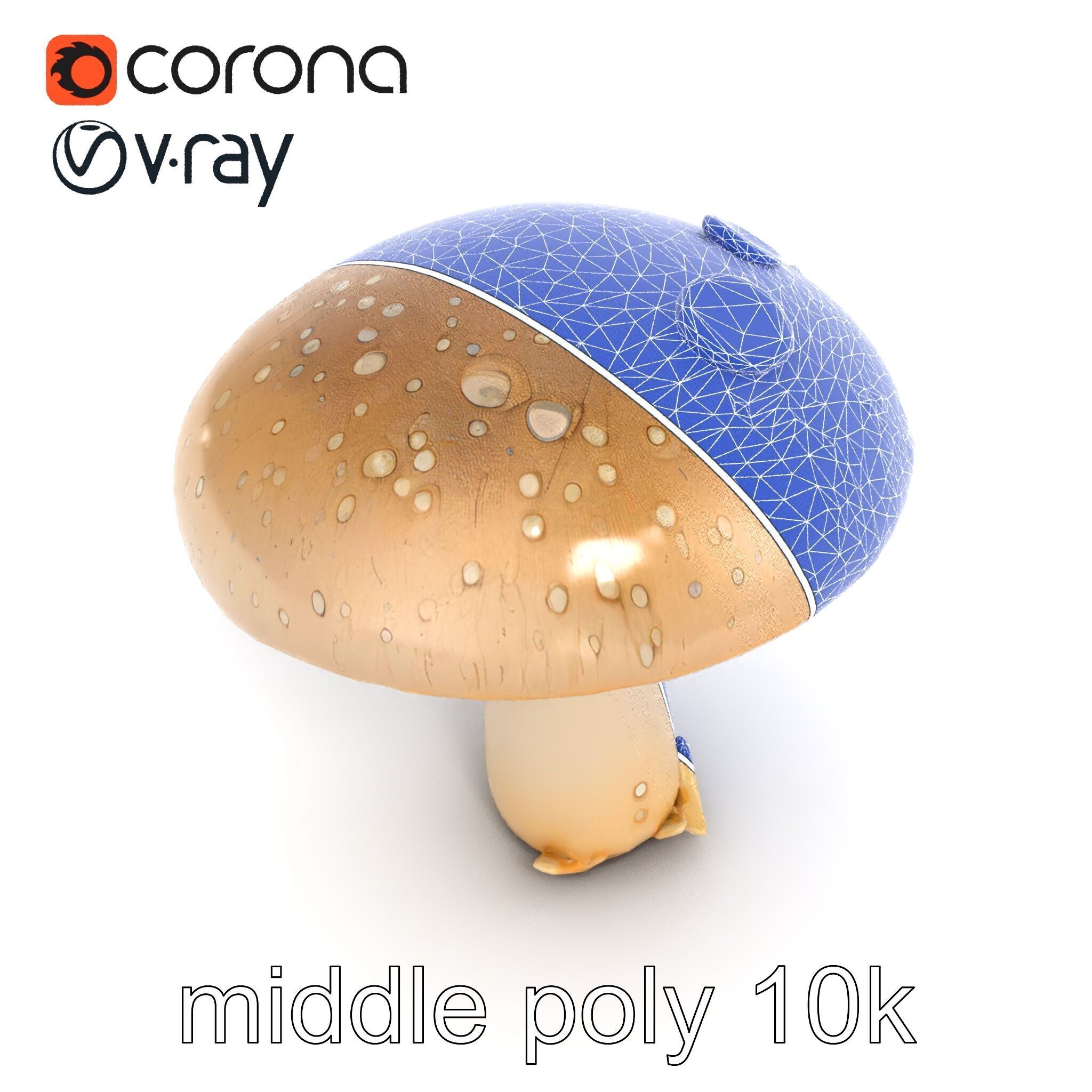 Dewy Mushroom Natural Curves Model Pack Low-poly 3D model_30