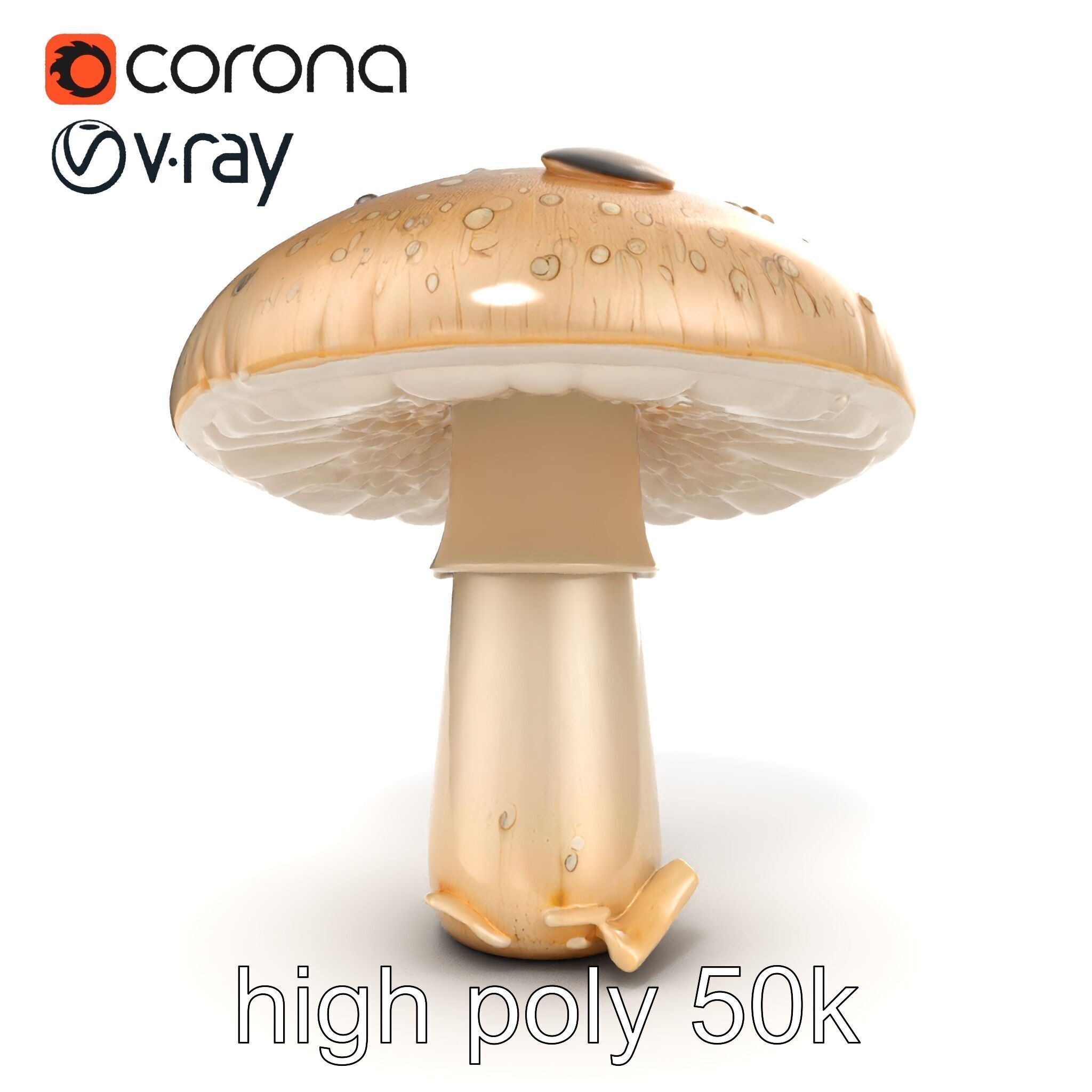 Dewy Mushroom Natural Curves Model Pack Low-poly 3D model_22