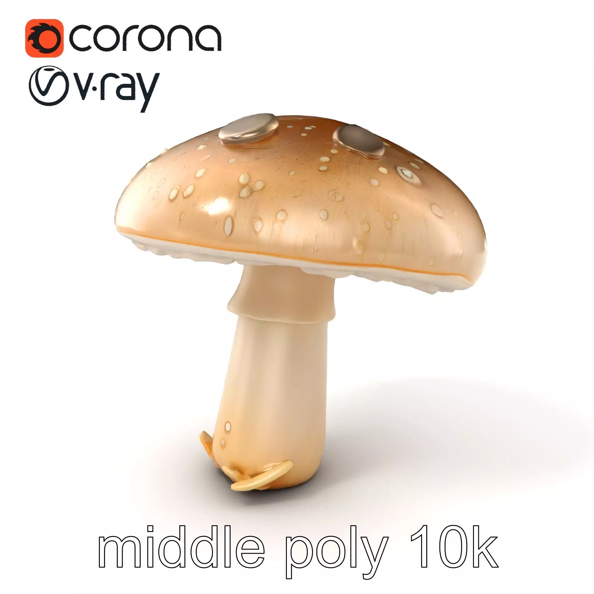 Dewy Mushroom Natural Curves Model Pack Low-poly 3D model_0