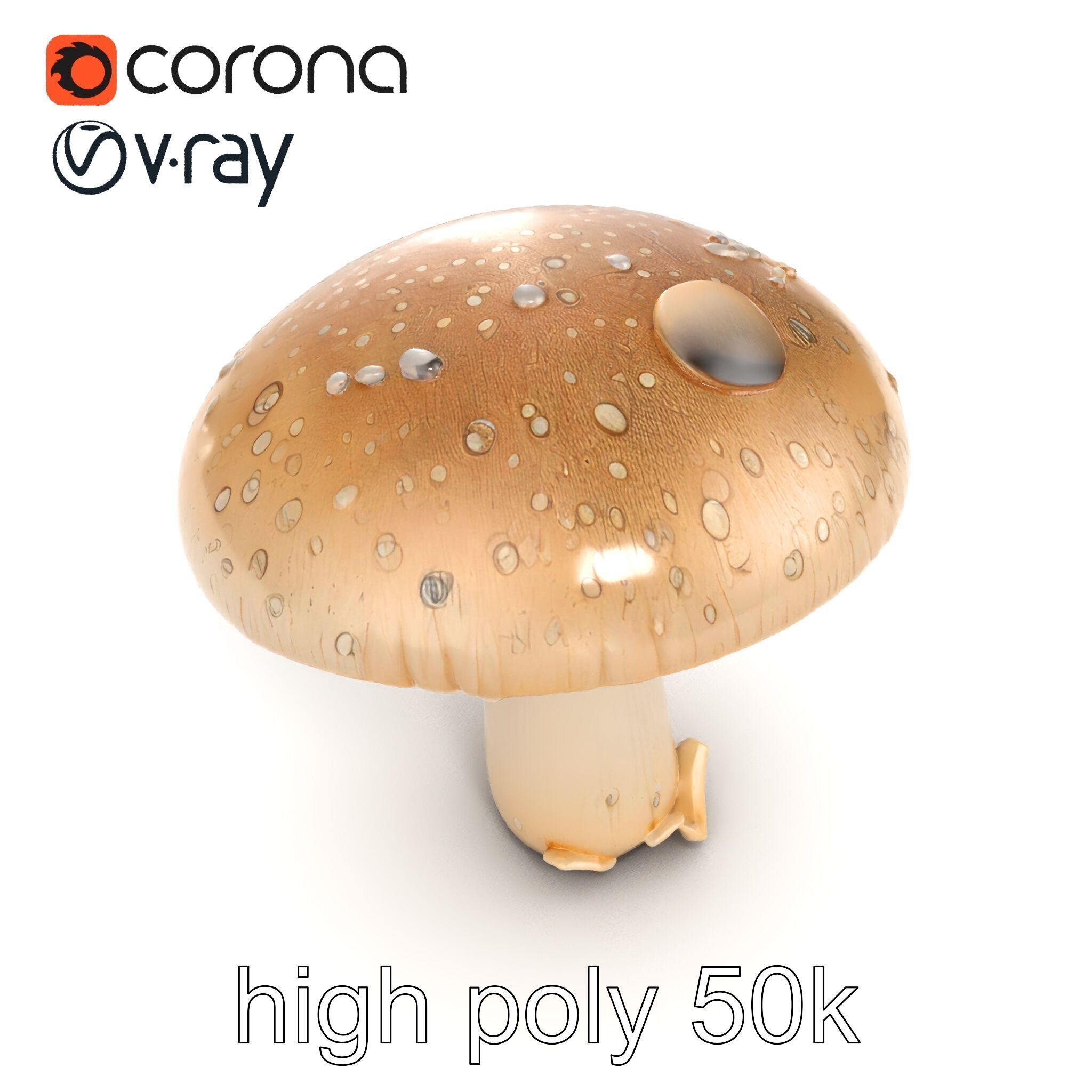 Dewy Mushroom Natural Curves Model Pack Low-poly 3D model_18