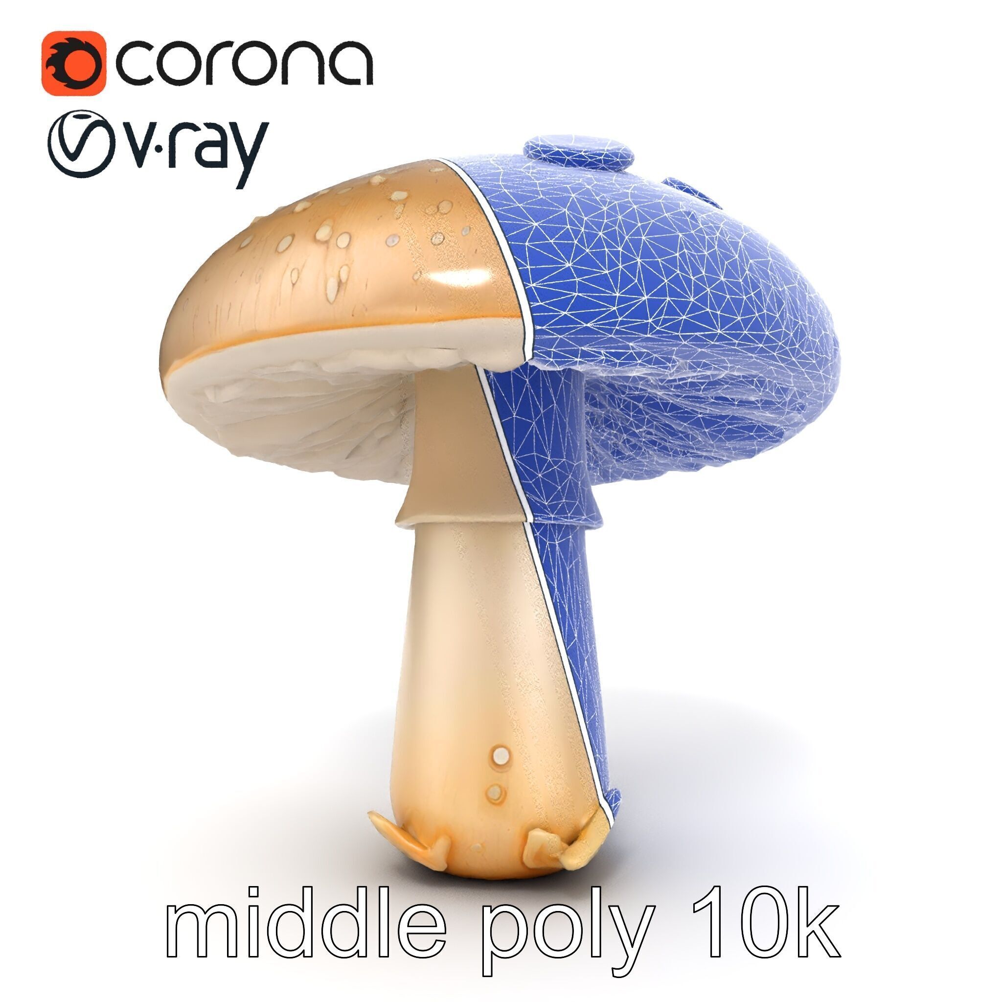 Dewy Mushroom Natural Curves Model Pack Low-poly 3D model_28
