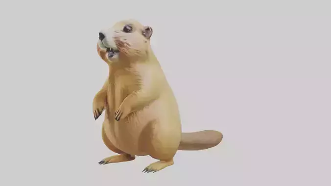 Prairie Dog chirping model Low-poly 3D model