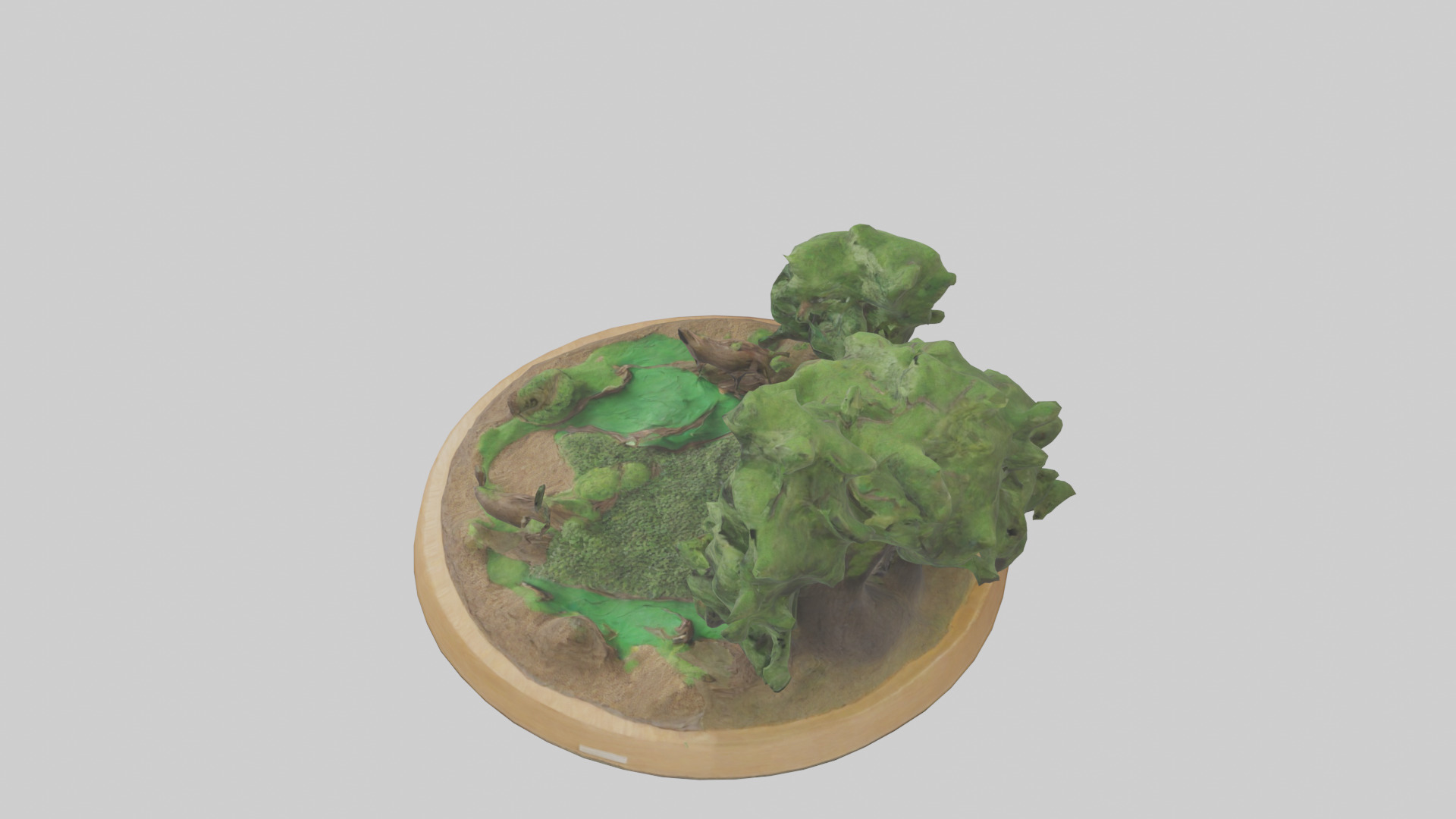 Preservation of Forests Sculpture model Low-poly 3D model_17