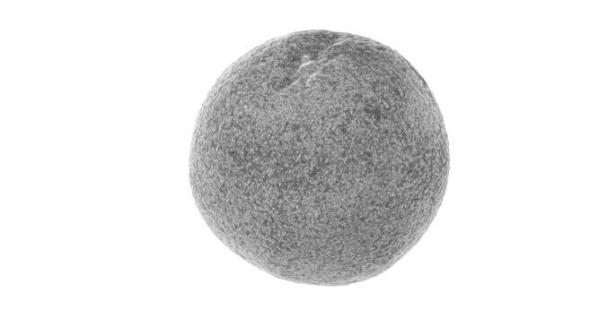 Orange Fruit 3D model 7