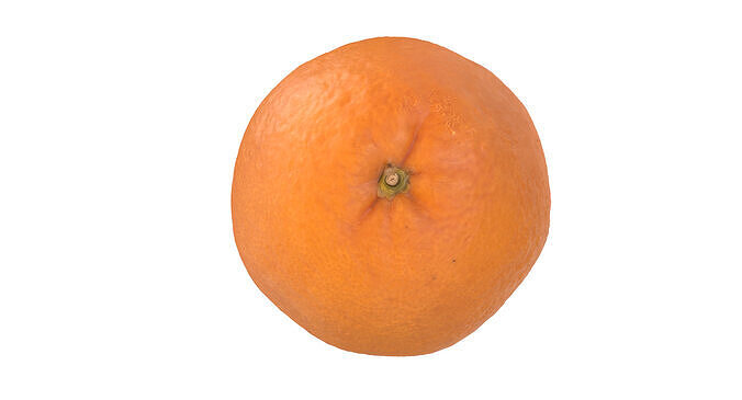 Orange Fruit 3D model 2