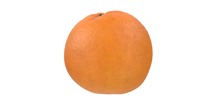 Orange Fruit 3D model 4