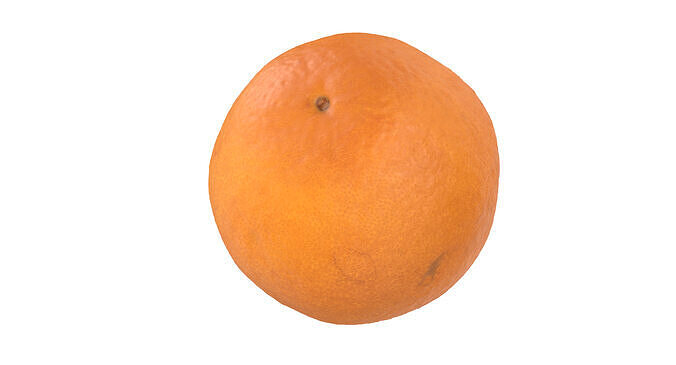 Orange Fruit 3D model 3