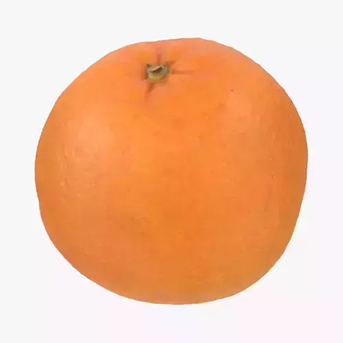Orange Fruit 3D model
