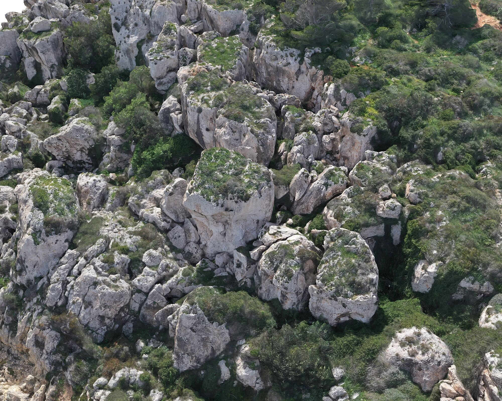  Cliff in the jungle Low-poly 3D model_6