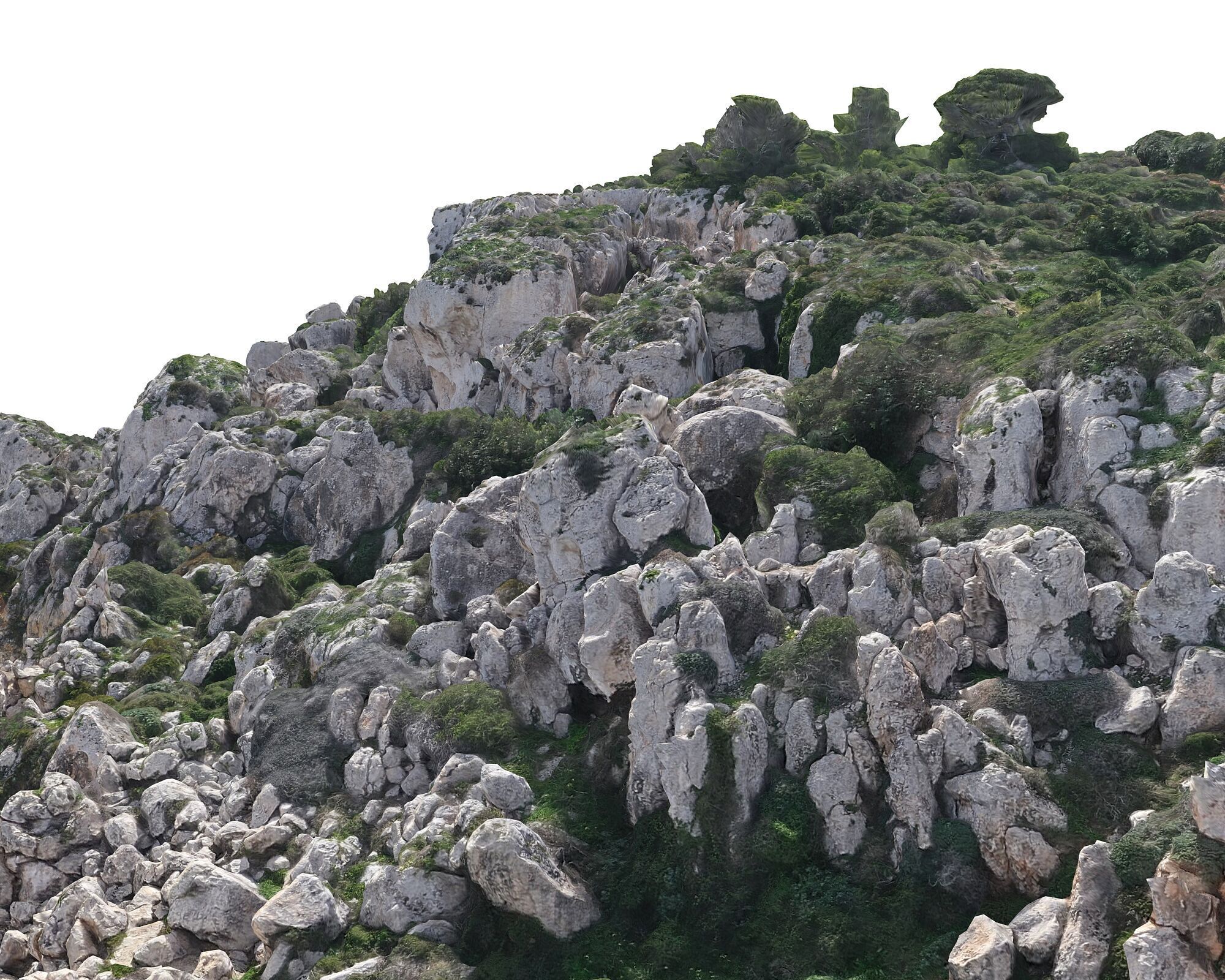  Cliff in the jungle Low-poly 3D model_3