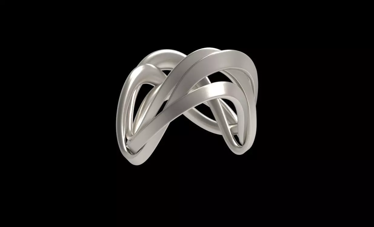 Ring 3 ropes 3D print model_0