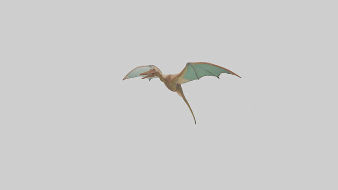 Pteranodon model Low-poly 3D model