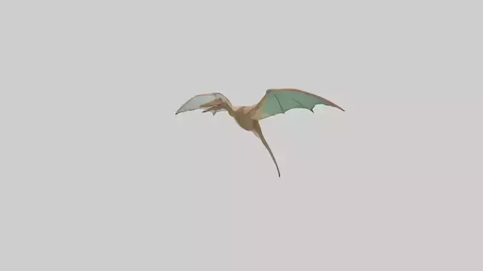 Pteranodon model