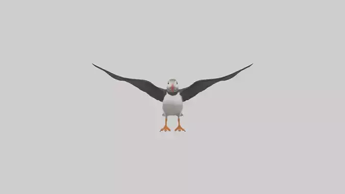Puffin flying model