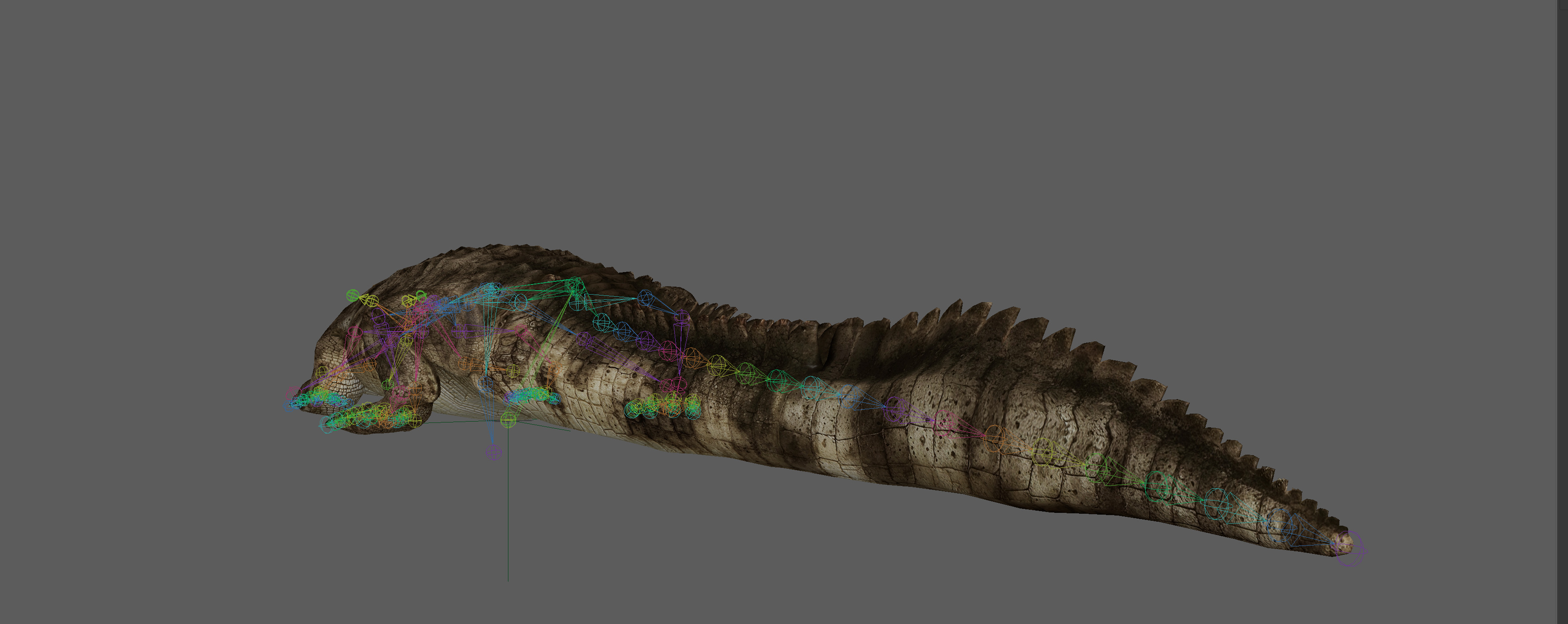 Crocodile Realistic Rigged 3D model_12
