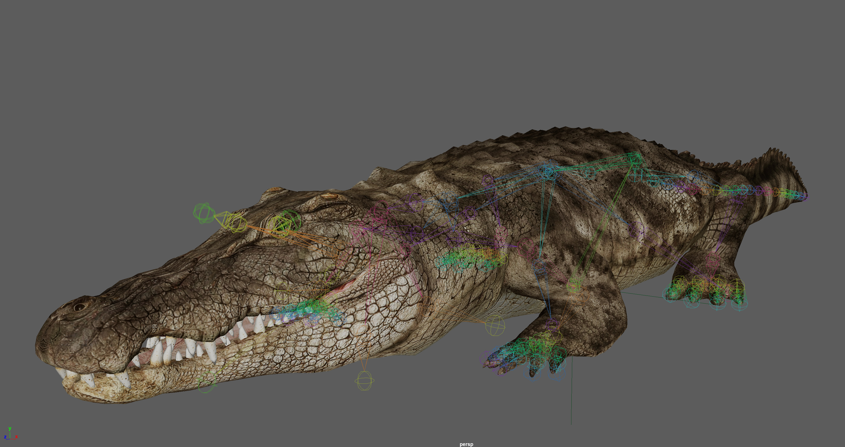Crocodile Realistic Rigged 3D model_8