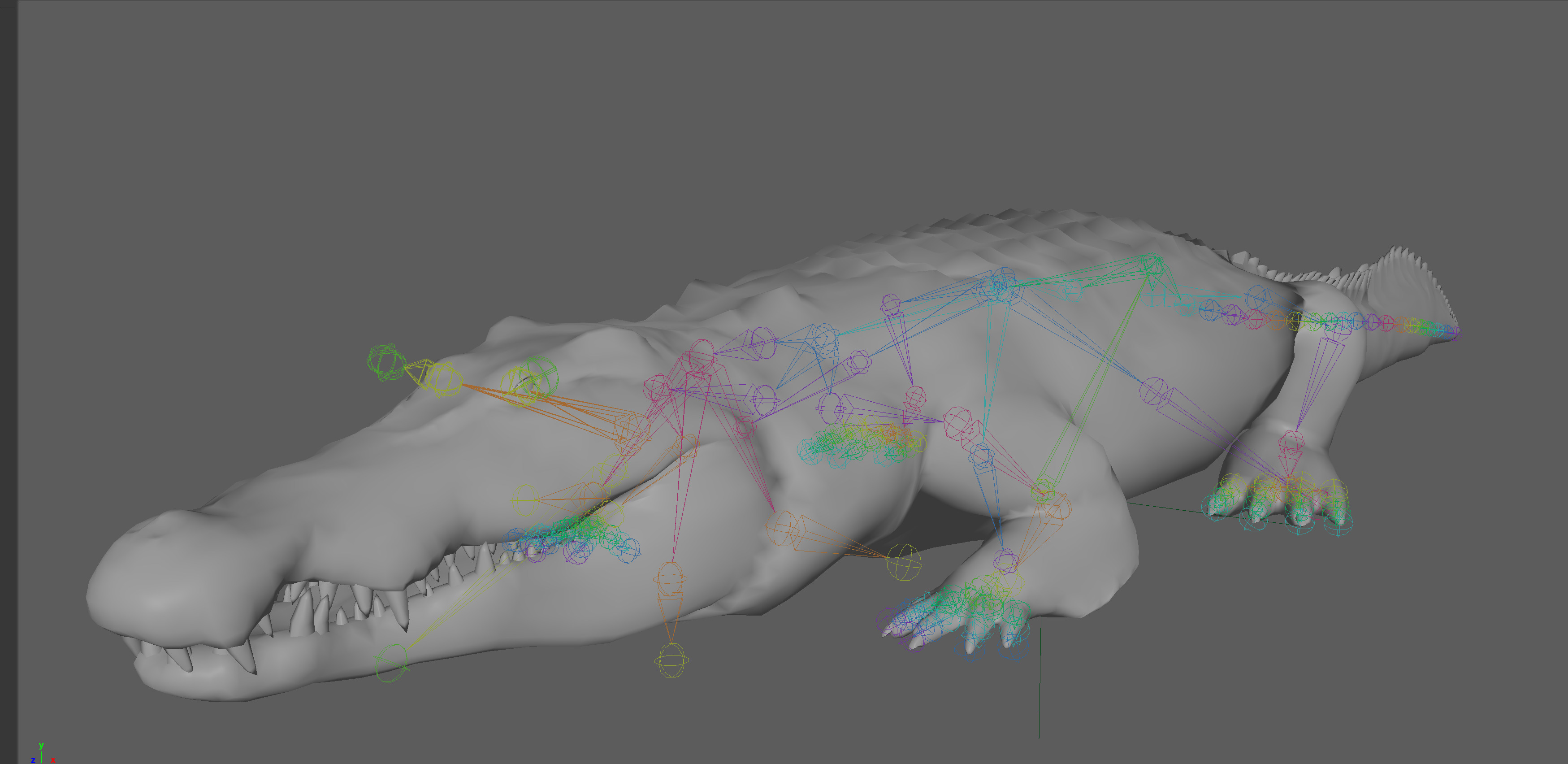 Crocodile Realistic Rigged 3D model_7