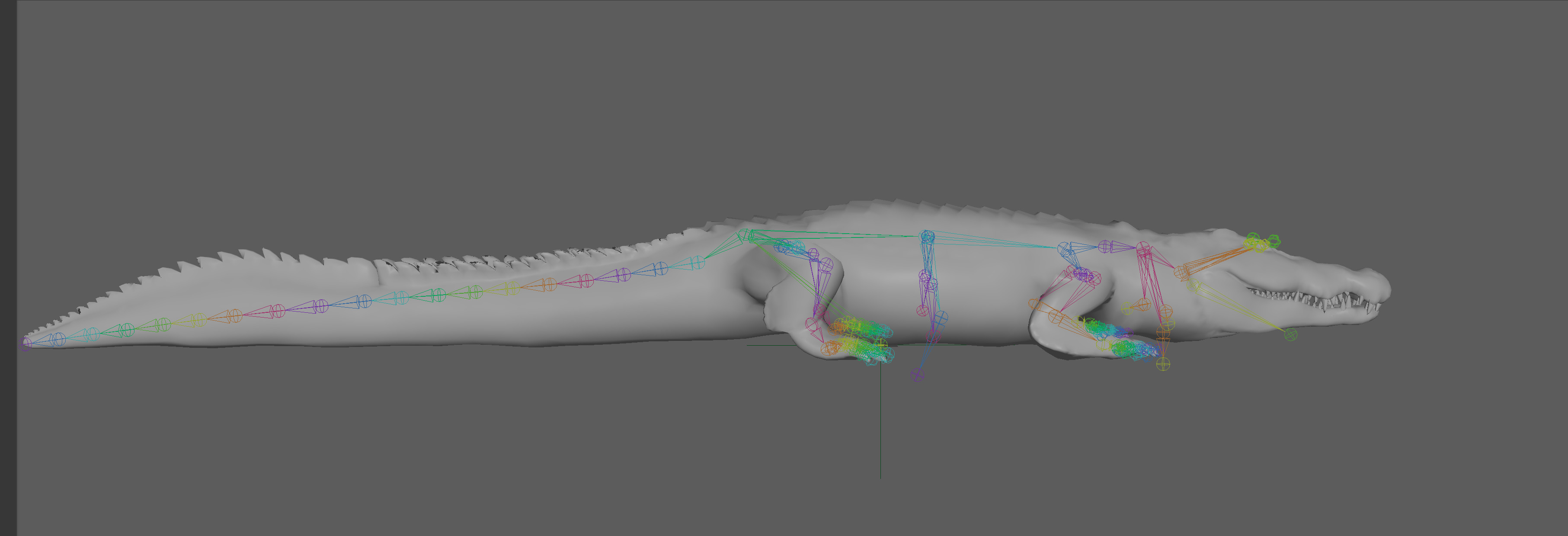 Crocodile Realistic Rigged 3D model_10