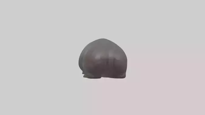 Pygmy Hippo lying down model Low-poly 3D model