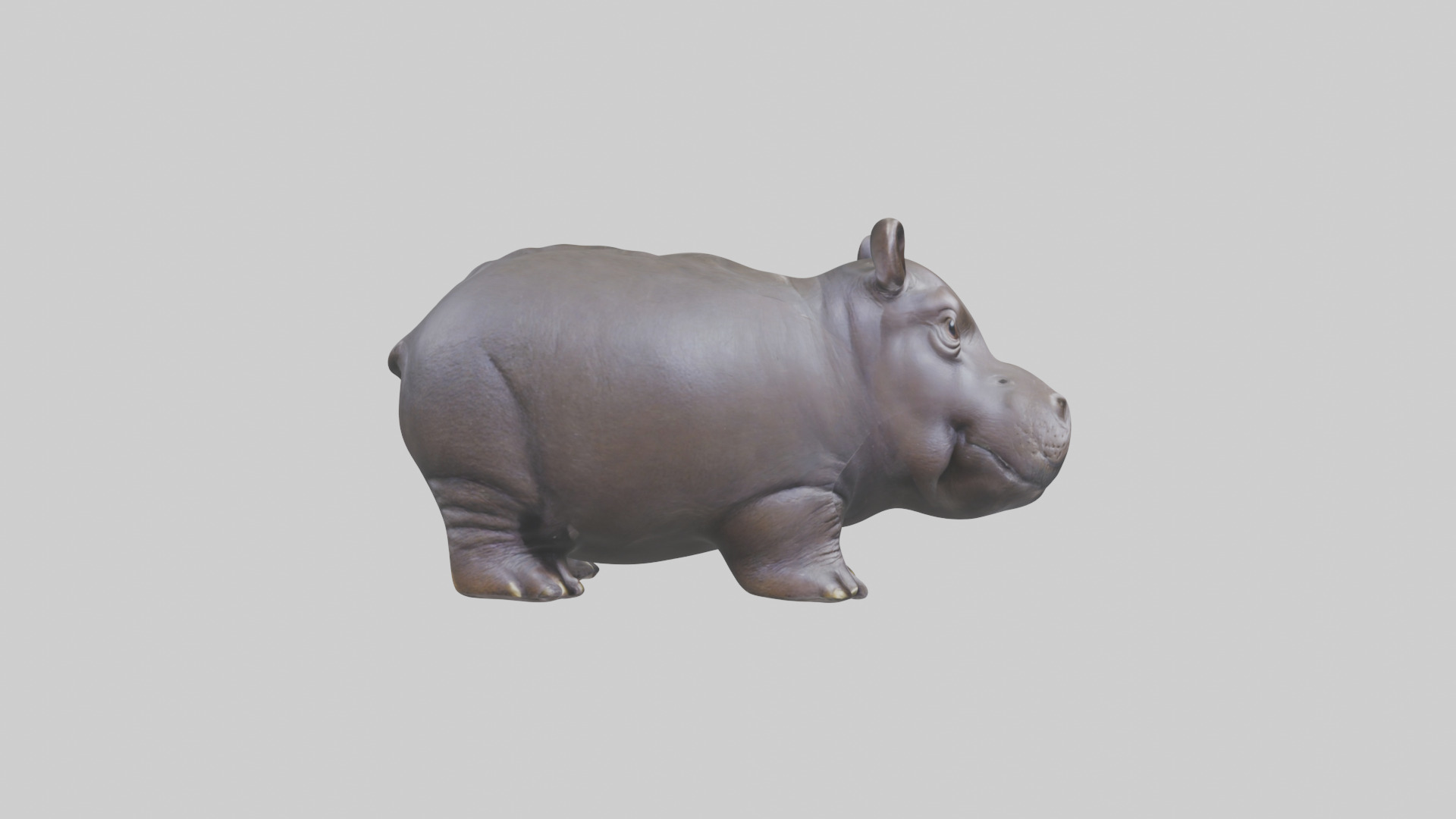 Pygmy Hippo statue model Low-poly 3D model_13