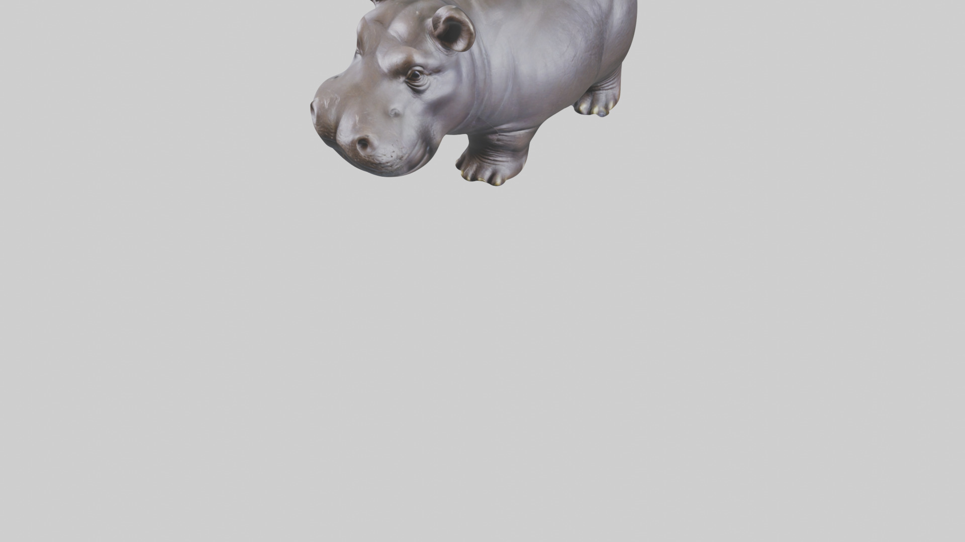 Pygmy Hippo statue model Low-poly 3D model_7